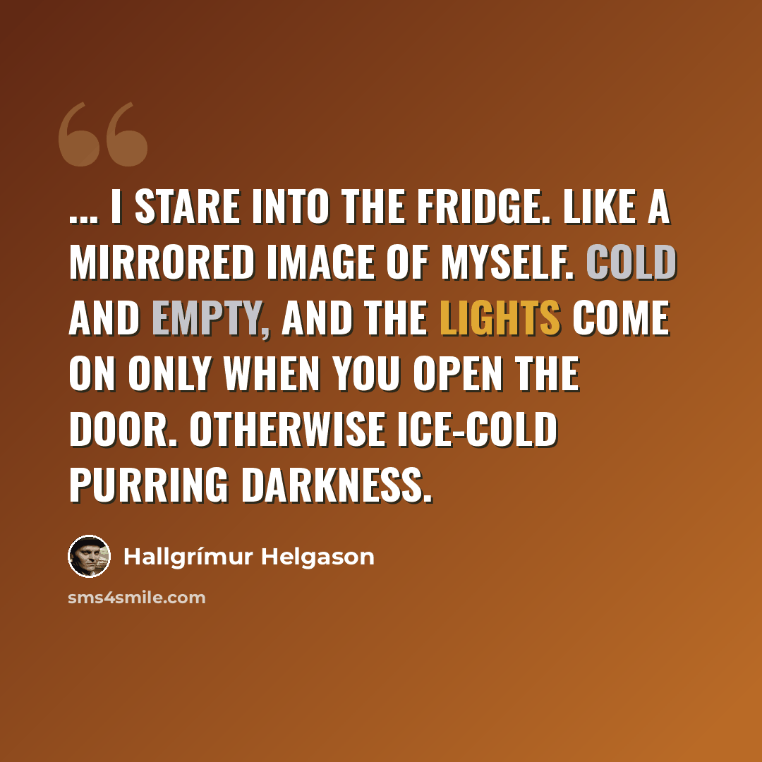 “... I stare into the fridge. Like a mirrored image of myself. Cold and empty, and the lights come on only when you open the door. Otherwise ice-cold purring darkness.” quote by Hallgrimur Helgason