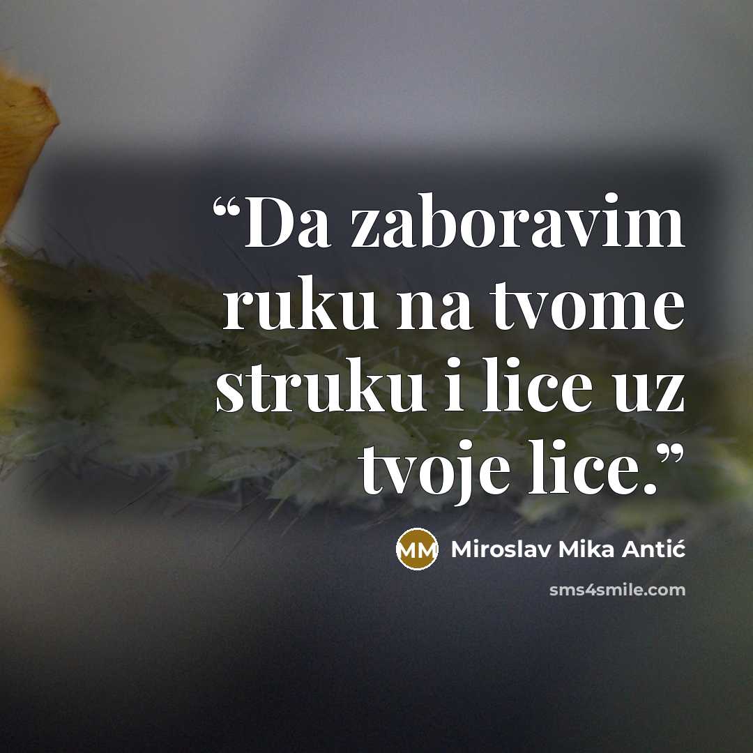 “Da zaboravim ruku na tvome struku i lice uz tvoje lice.” quote by Miroslav Mika Antić