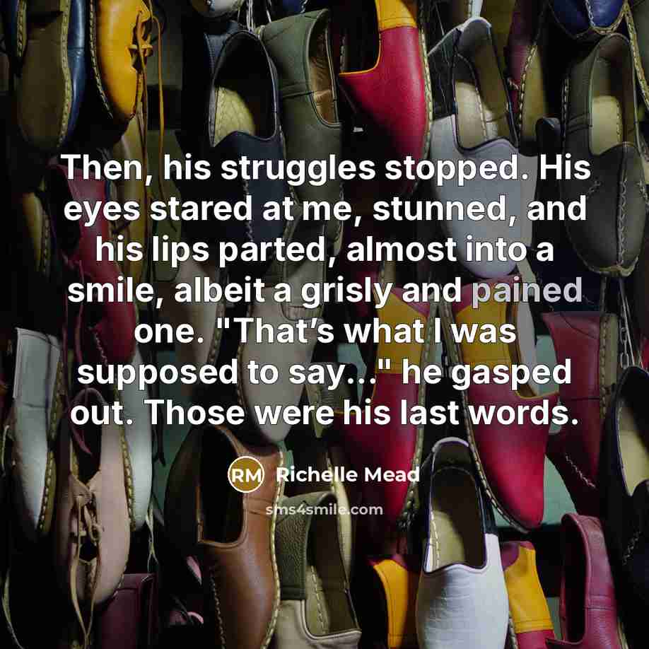 “Then, his struggles stopped. His eyes stared at me, stunned, and his lips parted, almost into a smile, albeit a grisly and pained one. "That’s what I was supposed to say..." he gasped out. Those were his last words.” quote by Richelle Mead