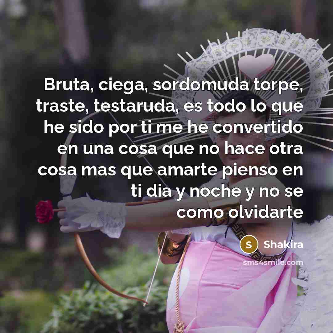 “Bruta, ciega, sordomuda torpe, traste, testaruda, es todo lo que he sido por ti me he convertido en una cosa que no hace otra cosa mas que amarte pienso en ti dia y noche y no se como olvidarte” quote by Shakira