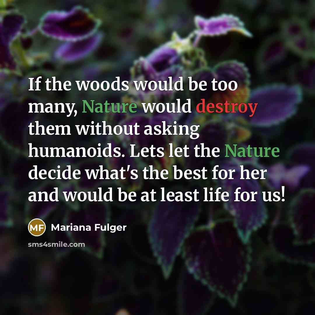 “If the woods would be too many, Nature would destroy them without asking humanoids. Lets let the Nature decide what's the best for her and would be at least life for us!” quote by Mariana Fulger
