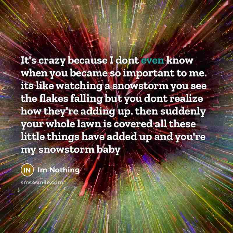 “It's crazy because I dont even know when you became so important to me. its like watching a snowstorm you see the flakes falling but you dont realize how they're adding up. then suddenly your whole lawn is covered all these little things have added up and you're my snowstorm baby” quote by Im Nothing