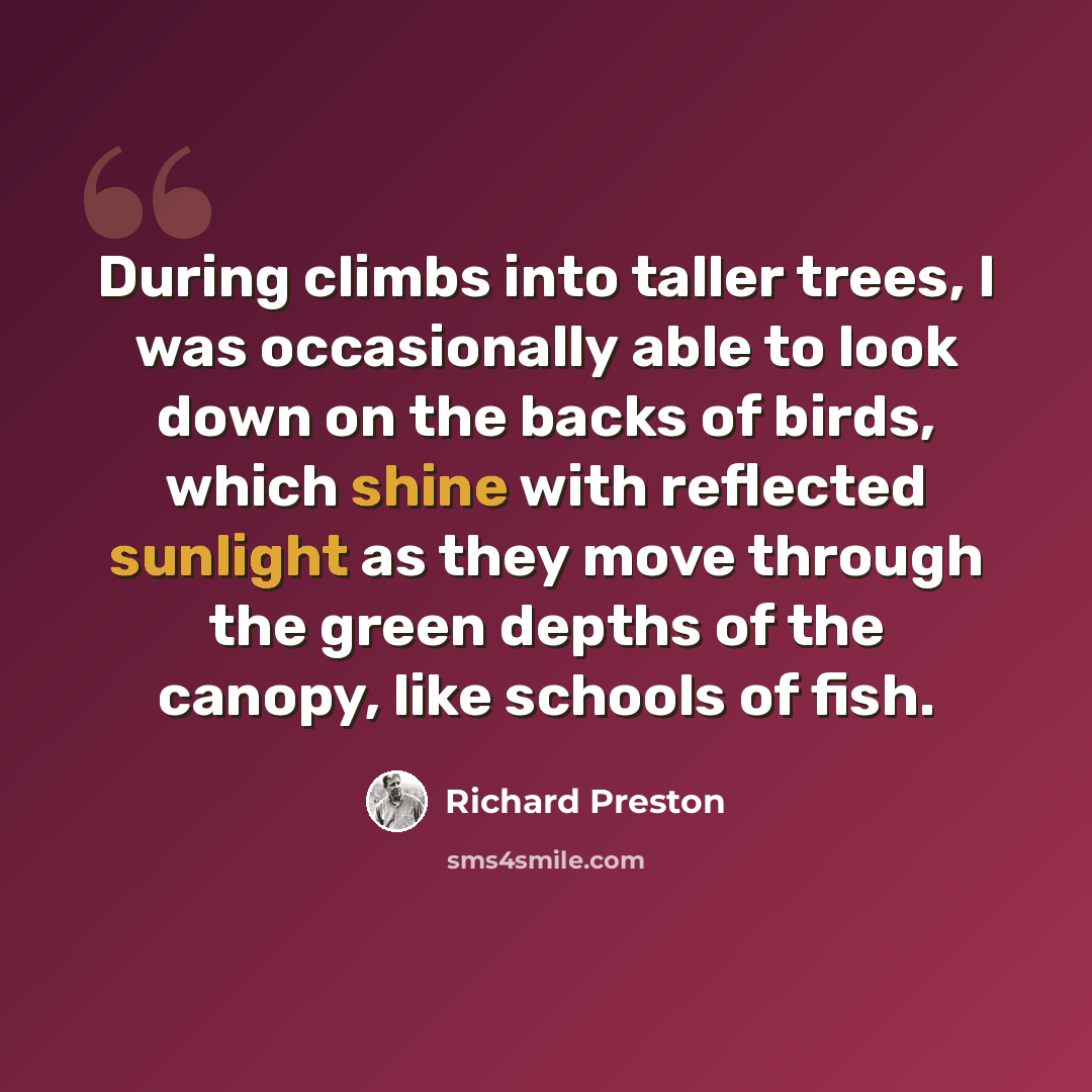 “During climbs into taller trees, I was occasionally able to look down on the backs of birds, which shine with reflected sunlight as they move through the green depths of the canopy, like schools of fish.” quote by Richard Preston