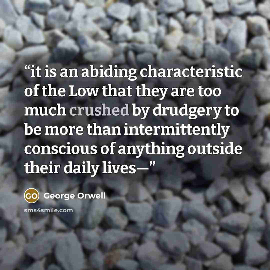 “it is an abiding characteristic of the Low that they are too much crushed by drudgery to be more than intermittently conscious of anything outside their daily lives—” quote by George Orwell