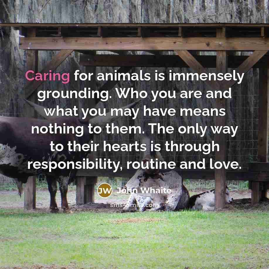 “Caring for animals is immensely grounding. Who you are and what you may have means nothing to them. The only way to their hearts is through responsibility, routine and love.” quote by John Whaite