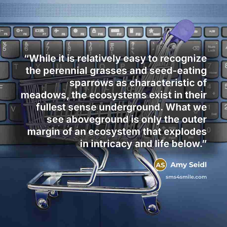 “While it is relatively easy to recognize the perennial grasses and seed-eating sparrows as characteristic of meadows, the ecosystems exist in their fullest sense underground. What we see aboveground is only the outer margin of an ecosystem that explodes in intricacy and life below.” quote by Amy Seidl