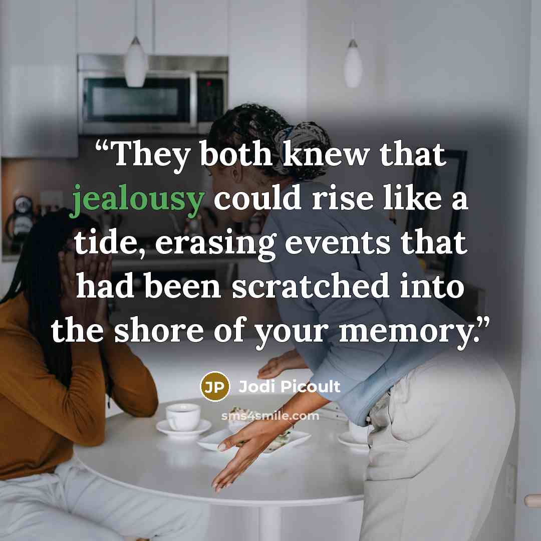 “They both knew that jealousy could rise like a tide, erasing events that had been scratched into the shore of your memory.” quote by Jodi Picoult