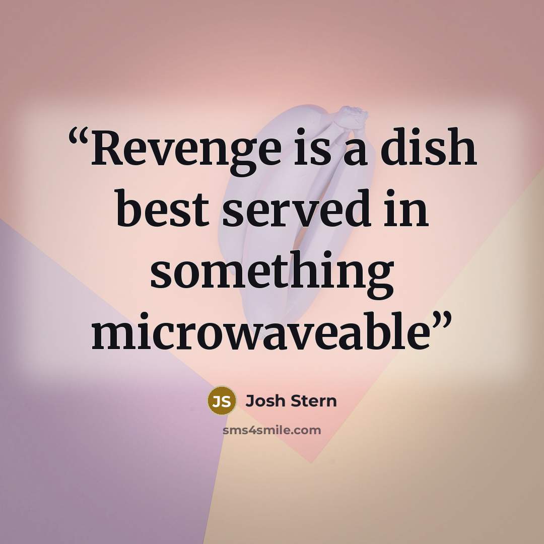 “Revenge is a dish best served in something microwaveable” quote by Josh Stern
