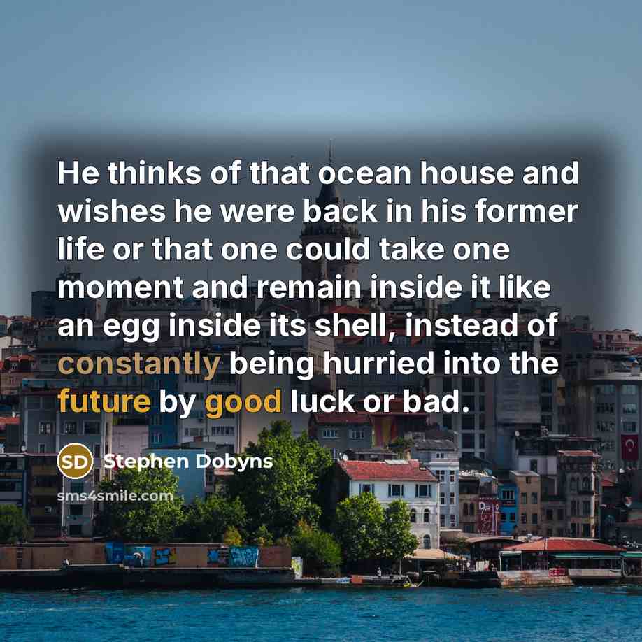 “He thinks of that ocean house and wishes he were back in his former life or that one could take one moment and remain inside it like an egg inside its shell, instead of constantly being hurried into the future by good luck or bad.” quote by Stephen Dobyns