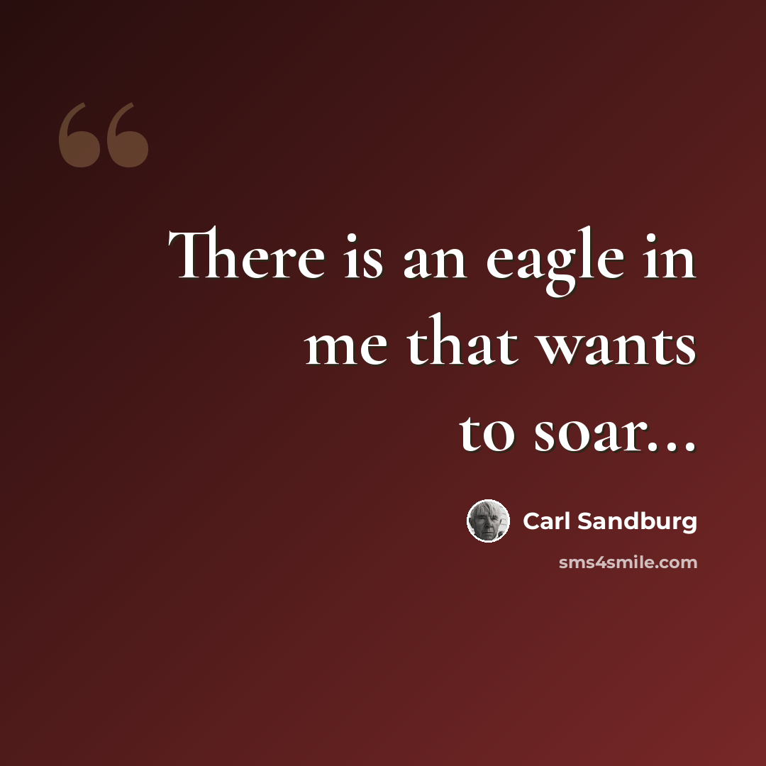 “There is an eagle in me that wants to soar...” quote by Carl Sandburg
