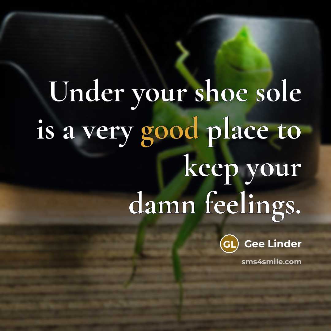 “Under your shoe sole is a very good place to keep your damn feelings.” quote by Gee Linder