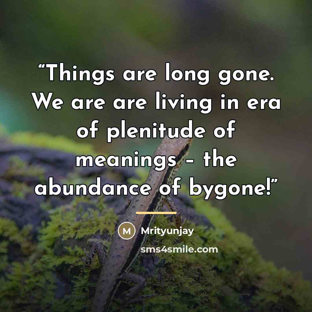 “Things are long gone. We are are living in era of plenitude of meanings – the abundance of bygone!” quote by Mrityunjay