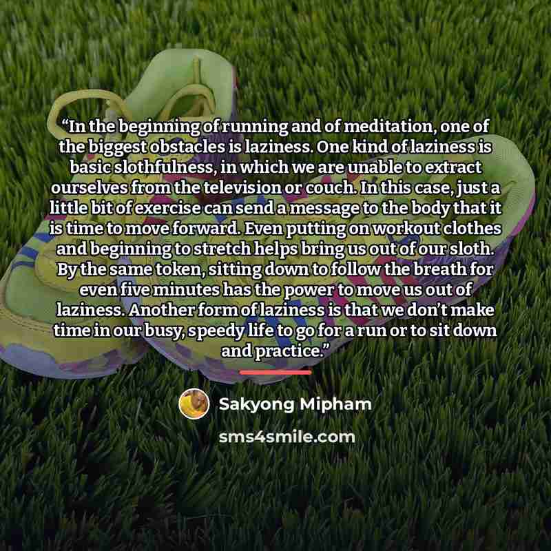 “In the beginning of running and of meditation, one of the biggest obstacles is laziness. One kind of laziness is basic slothfulness, in which we are unable to extract ourselves from the television or couch. In this case, just a little bit of exercise can send a message to the body that it is time…” quote by Sakyong Mipham