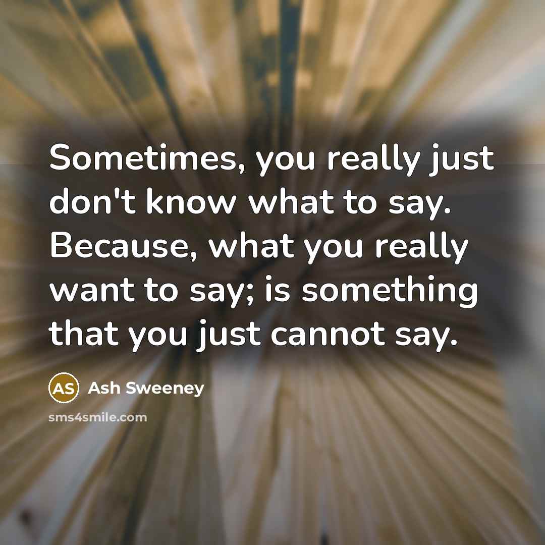 “Sometimes, you really just don't know what to say. Because, what you really want to say; is something that you just cannot say.” quote by Ash Sweeney