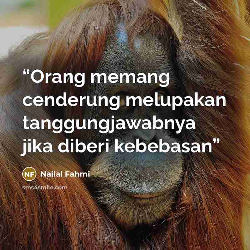 “Orang memang cenderung melupakan tanggungjawabnya jika diberi kebebasan” quote by Nailal Fahmi