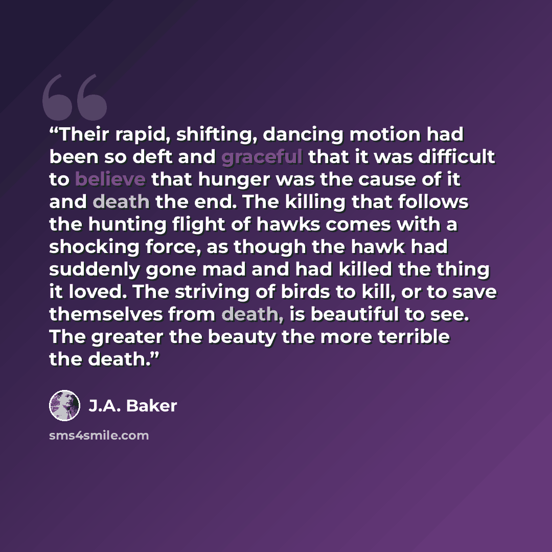 “Their rapid, shifting, dancing motion had been so deft and graceful that it was difficult to believe that hunger was the cause of it and death the end. The killing that follows the hunting flight of hawks comes with a shocking force, as though the hawk had suddenly gone mad and had killed the…” quote by J.A. Baker
