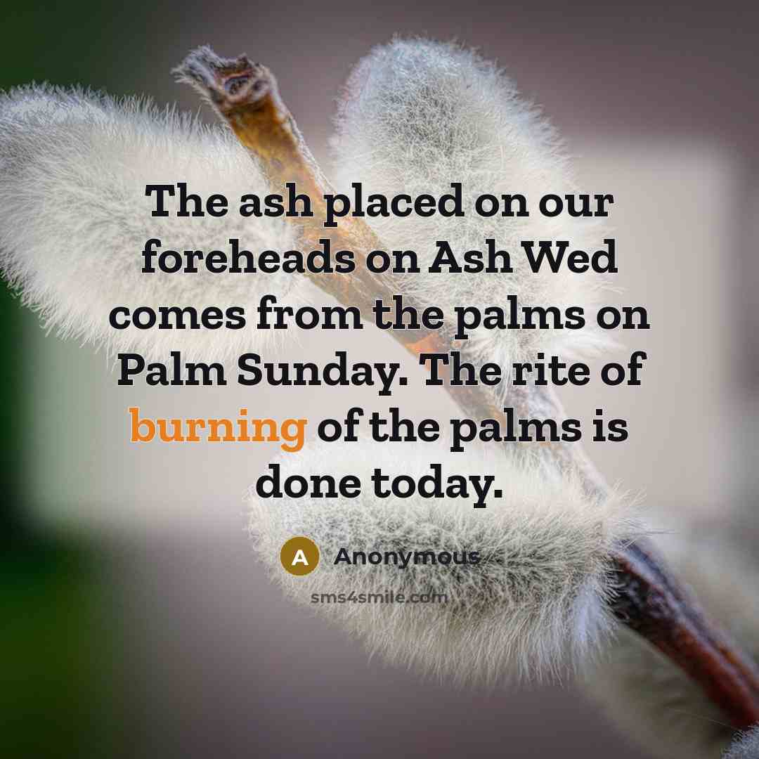 “The ash placed on our foreheads on Ash Wed comes from the palms on Palm Sunday. The rite of burning of the palms is done today.” quote by Anonymous