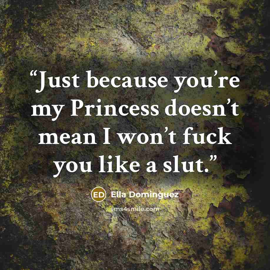 “Just because you’re my Princess doesn’t mean I won’t fuck you like a slut.” quote by Ella Dominguez