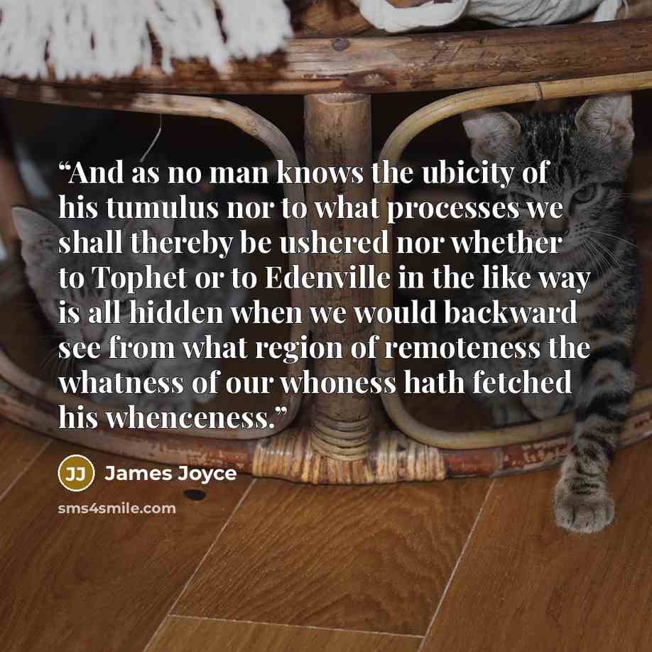 “And as no man knows the ubicity of his tumulus nor to what processes we shall thereby be ushered nor whether to Tophet or to Edenville in the like way is all hidden when we would backward see from what region of remoteness the whatness of our whoness hath fetched his whenceness.” quote by James Joyce