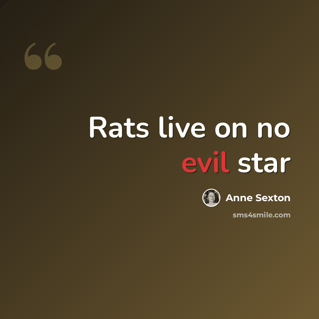 “Rats live on no evil star” quote by Anne Sexton