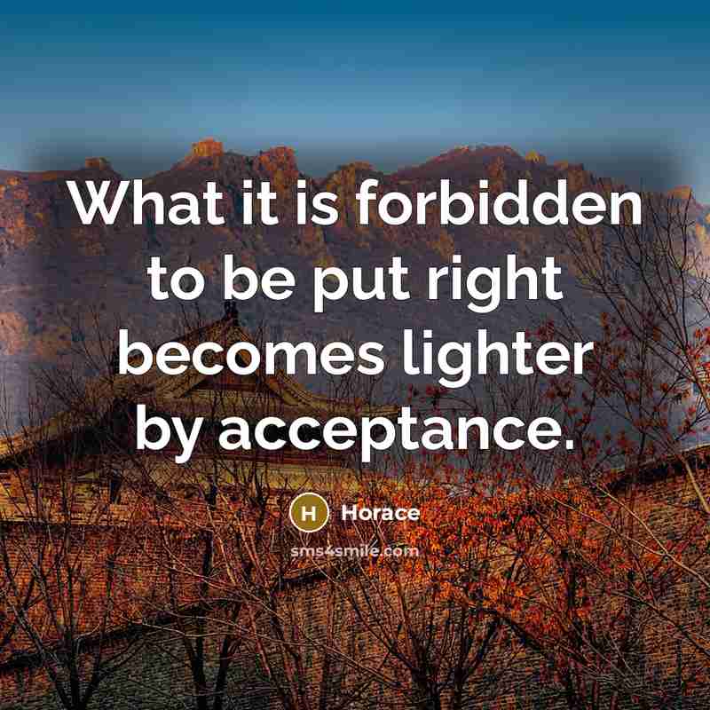 “What it is forbidden to be put right becomes lighter by acceptance.” quote by Horace