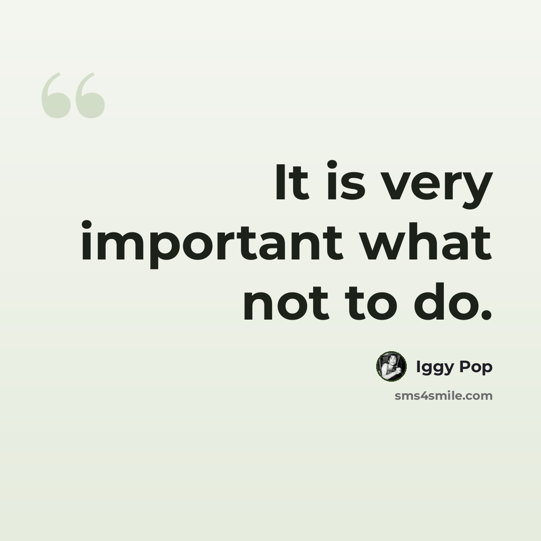 “It is very important what not to do.” quote by Iggy Pop