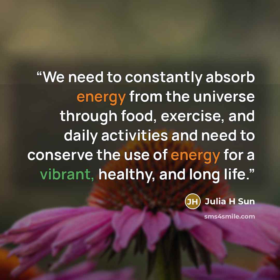“We need to constantly absorb energy from the universe through food, exercise, and daily activities and need to conserve the use of energy for a vibrant, healthy, and long life.” quote by Julia H Sun
