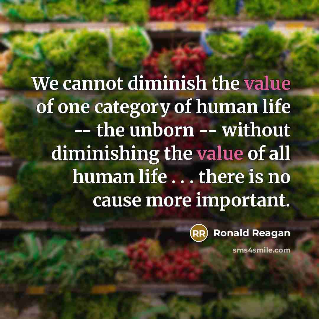 “We cannot diminish the value of one category of human life -- the unborn -- without diminishing the value of all human life . . . there is no cause more important.” quote by Ronald Reagan