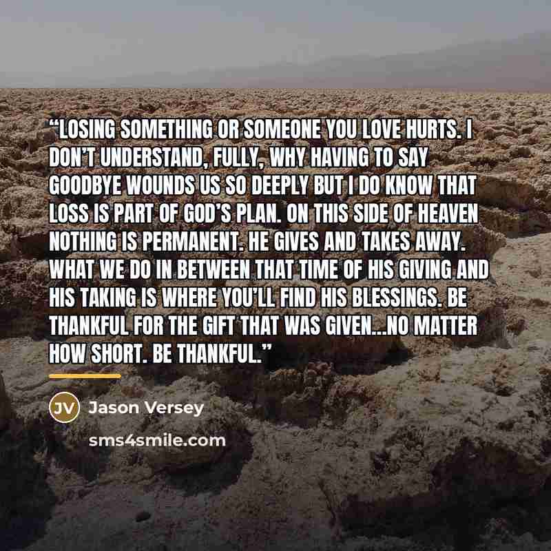 “Losing something or someone you love hurts. I don’t understand, fully, why having to say goodbye wounds us so deeply but I do know that loss is part of God’s plan. On this side of heaven nothing is permanent. He gives and takes away. What we do in between that time of His giving and His taking is…” quote by Jason Versey
