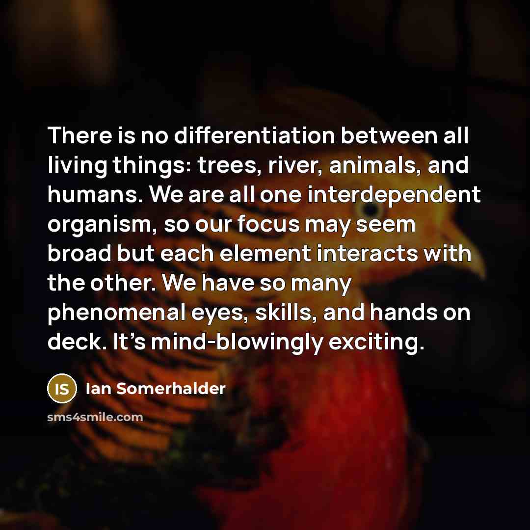 “There is no differentiation between all living things: trees, river, animals, and humans. We are all one interdependent organism, so our focus may seem broad but each element interacts with the other. We have so many phenomenal eyes, skills, and hands on deck. It's mind-blowingly exciting.” quote by Ian Somerhalder