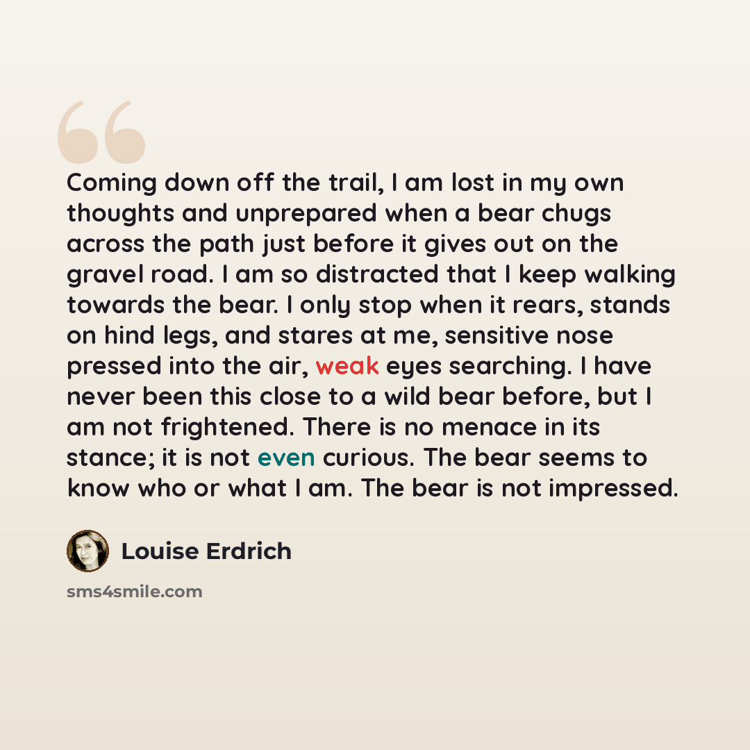 “Coming down off the trail, I am lost in my own thoughts and unprepared when a bear chugs across the path just before it gives out on the gravel road. I am so distracted that I keep walking towards the bear. I only stop when it rears, stands on hind legs, and stares at me, sensitive nose pressed…” quote by Louise Erdrich