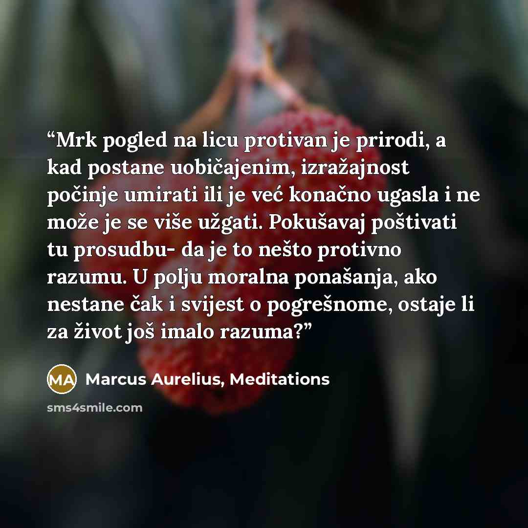 “Mrk pogled na licu protivan je prirodi, a kad postane uobičajenim, izražajnost počinje umirati ili je već konačno ugasla i ne može je se više užgati. Pokušavaj poštivati tu prosudbu- da je to nešto protivno razumu. U polju moralna ponašanja, ako nestane čak i svijest o pogrešnome, ostaje li za…” quote by Marcus Aurelius, Meditations