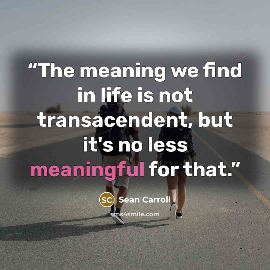 “The meaning we find in life is not transacendent, but it's no less meaningful for that.” quote by Sean Carroll