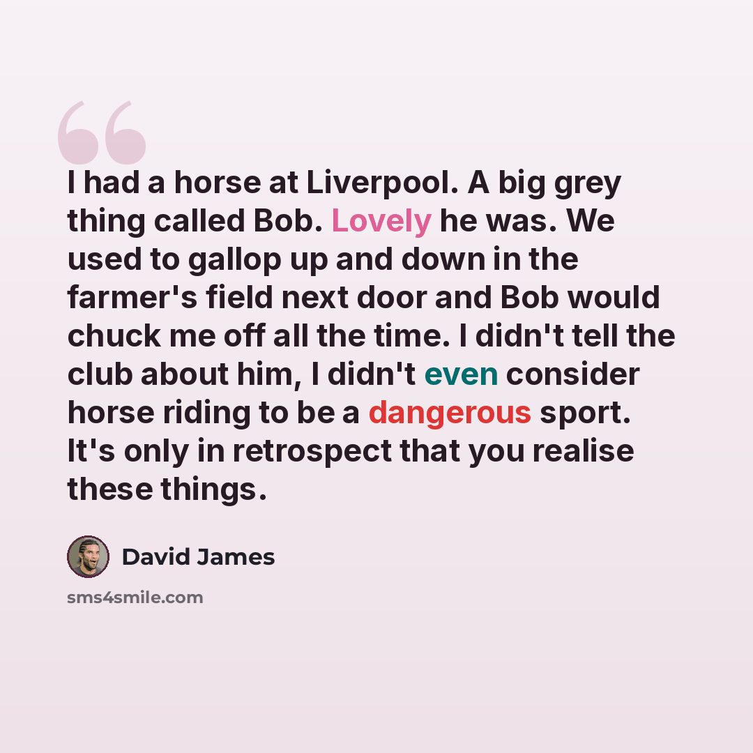 “I had a horse at Liverpool. A big grey thing called Bob. Lovely he was. We used to gallop up and down in the farmer's field next door and Bob would chuck me off all the time. I didn't tell the club about him, I didn't even consider horse riding to be a dangerous sport. It's only in retrospect that…” quote by David James