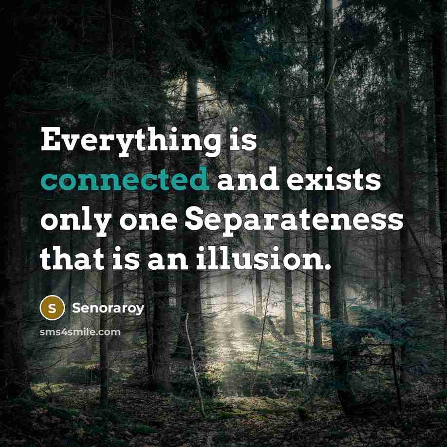“Everything is connected and exists only one Separateness that is an illusion.” quote by Senoraroy