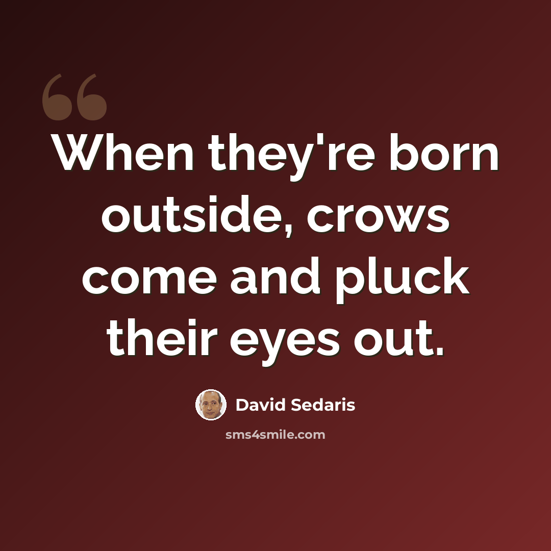“When they're born outside, crows come and pluck their eyes out.” quote by David Sedaris