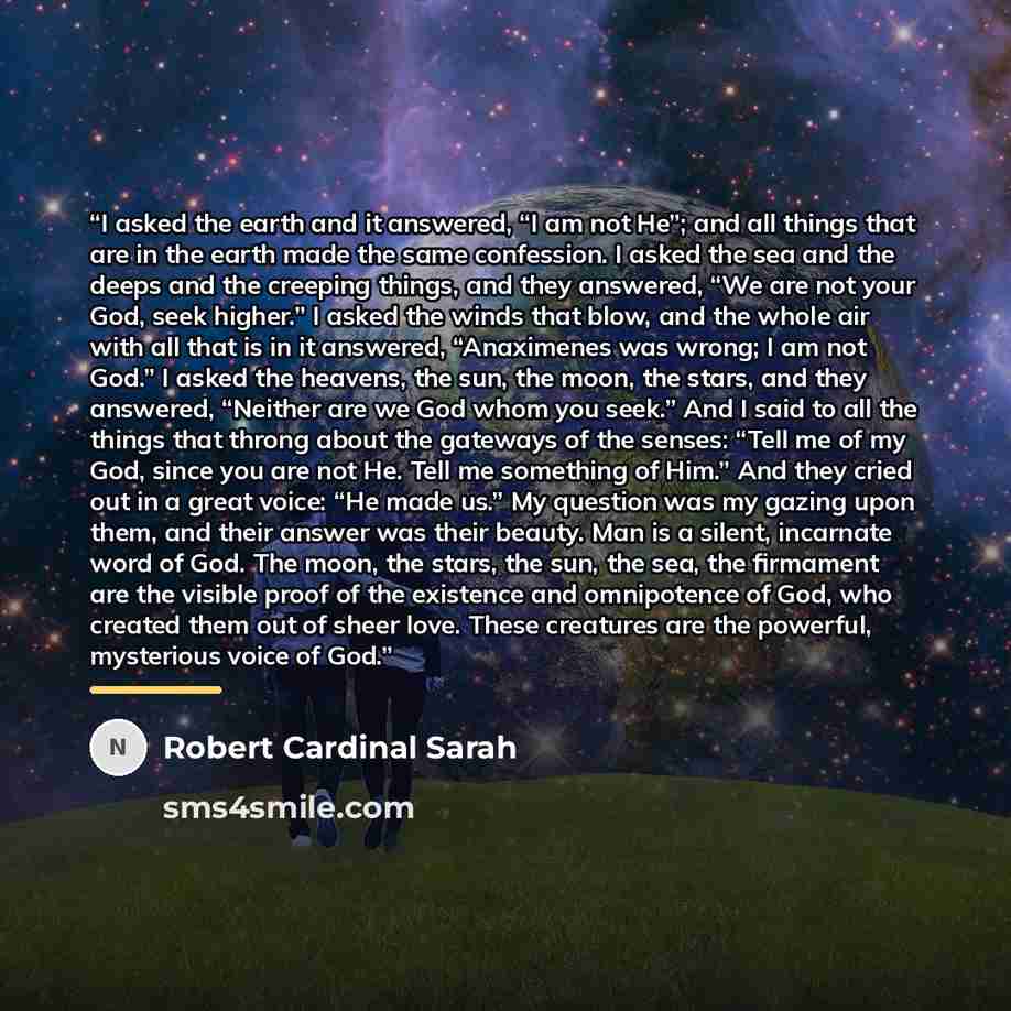 “I asked the earth and it answered, “I am not He”; and all things that are in the earth made the same confession. I asked the sea and the deeps and the creeping things, and they answered, “We are not your God, seek higher.” I asked the winds that blow, and the whole air with all that is in it…” quote by Robert Cardinal Sarah