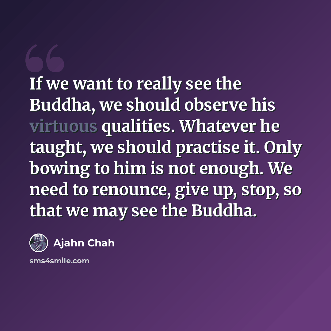 “If we want to really see the Buddha, we should observe his virtuous qualities. Whatever he taught, we should practise it. Only bowing to him is not enough. We need to renounce, give up, stop, so that we may see the Buddha.” quote by Ajahn Chah