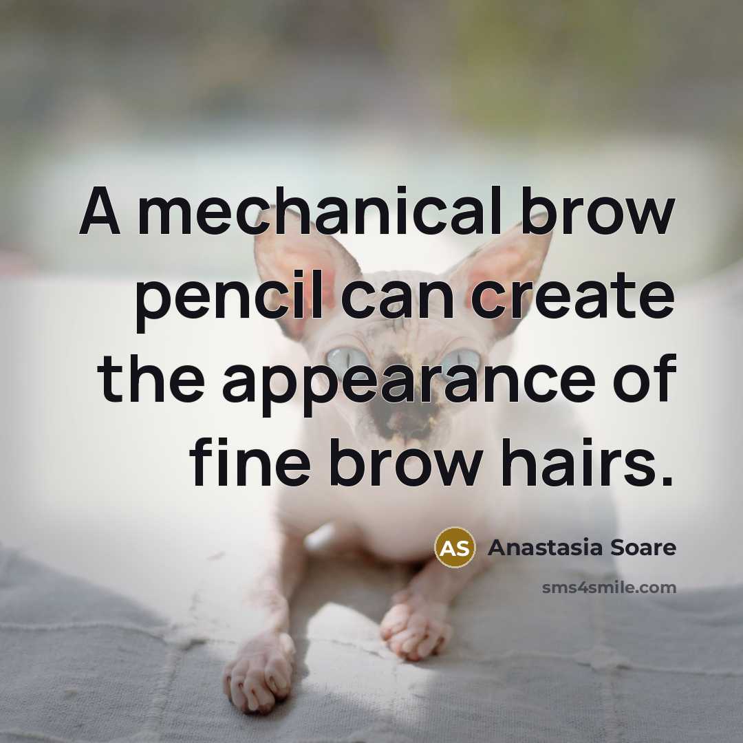 “A mechanical brow pencil can create the appearance of fine brow hairs.” quote by Anastasia Soare