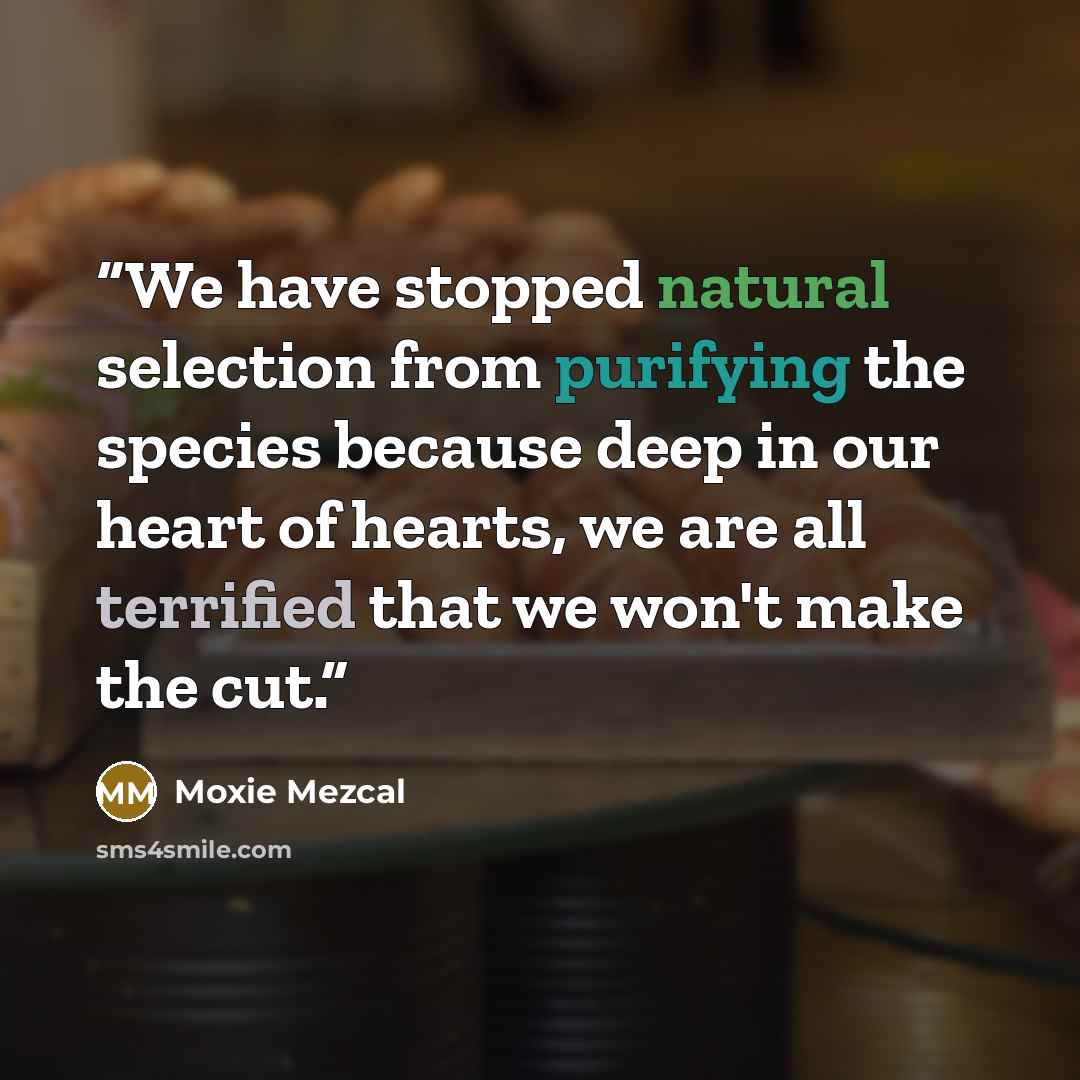 “We have stopped natural selection from purifying the species because deep in our heart of hearts, we are all terrified that we won't make the cut.” quote by Moxie Mezcal