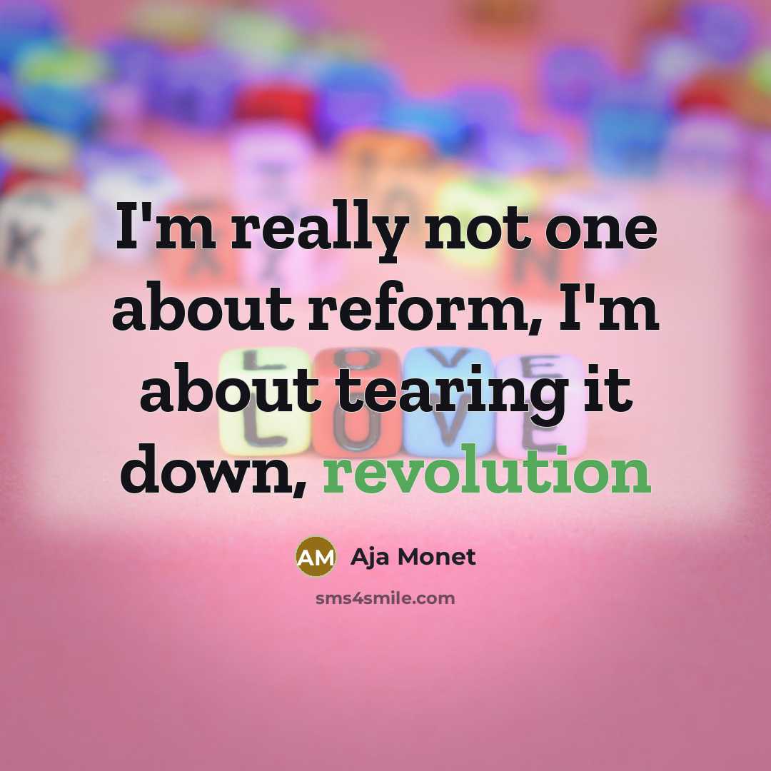 “I'm really not one about reform, I'm about tearing it down, revolution” quote by Aja Monet