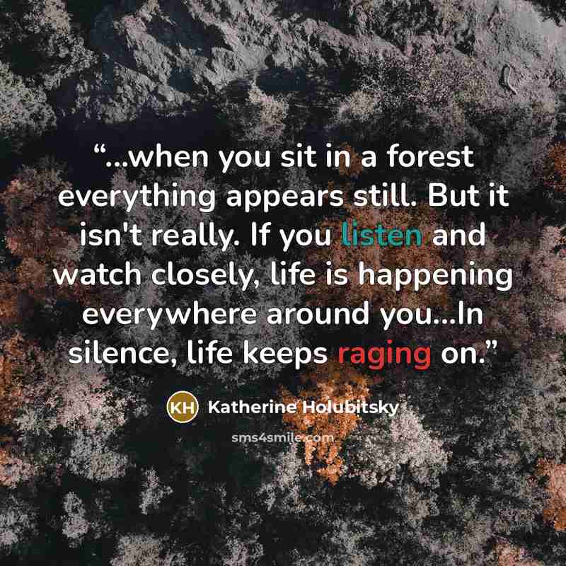 “...when you sit in a forest everything appears still. But it isn't really. If you listen and watch closely, life is happening everywhere around you...In silence, life keeps raging on.” quote by Katherine Holubitsky