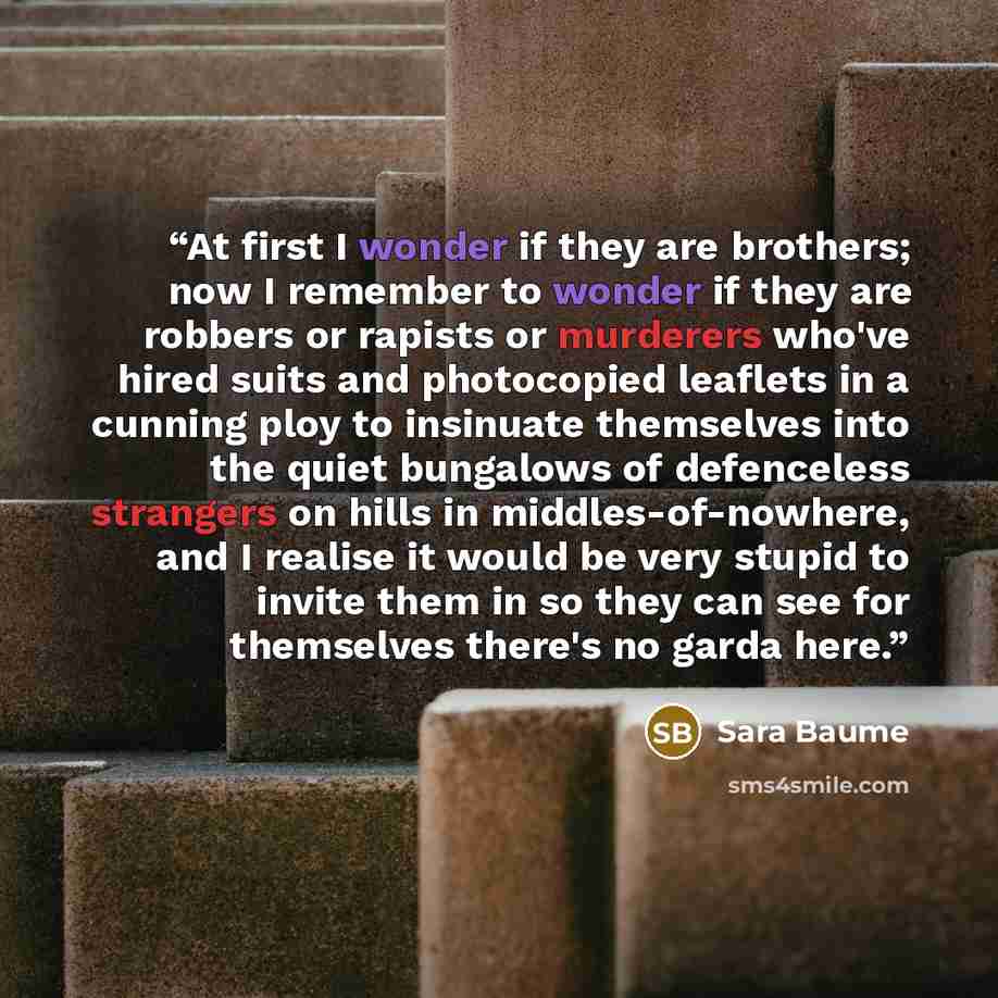 “At first I wonder if they are brothers; now I remember to wonder if they are robbers or rapists or murderers who've hired suits and photocopied leaflets in a cunning ploy to insinuate themselves into the quiet bungalows of defenceless strangers on hills in middles-of-nowhere, and I realise it…” quote by Sara Baume