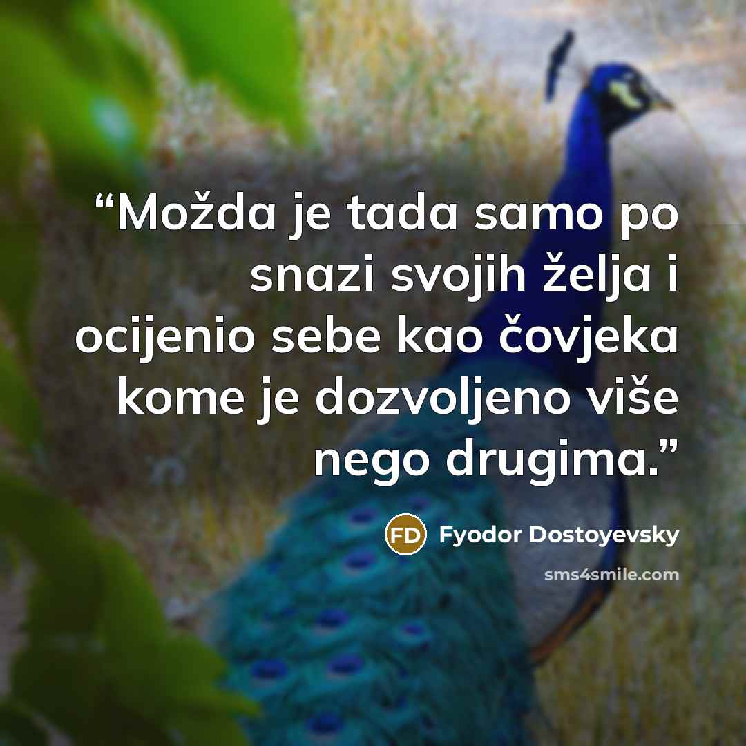 “Možda je tada samo po snazi svojih želja i ocijenio sebe kao čovjeka kome je dozvoljeno više nego drugima.” quote by Fyodor Dostoyevsky
