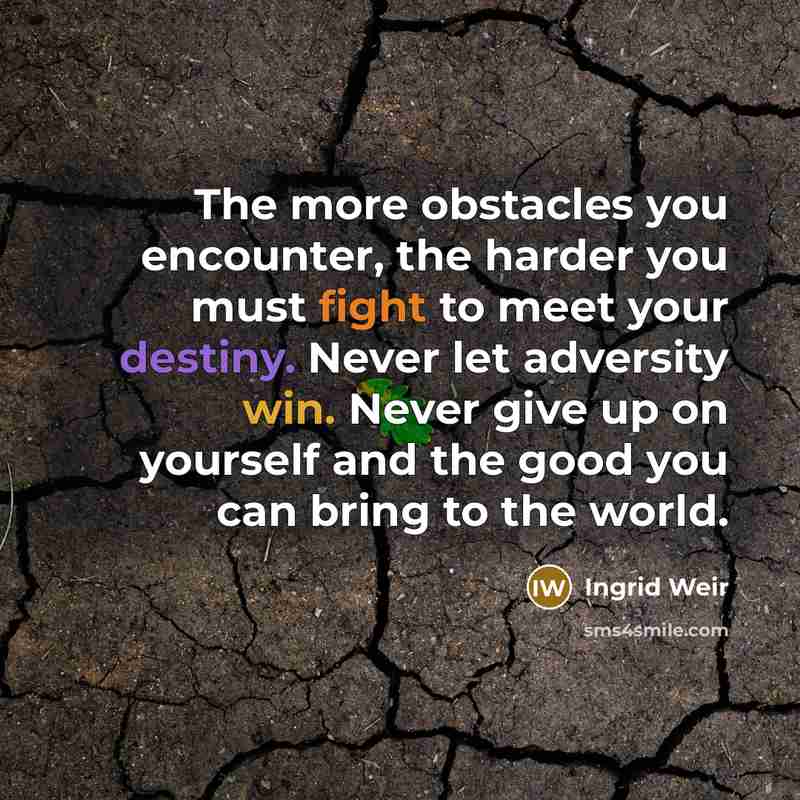 “The more obstacles you encounter, the harder you must fight to meet your destiny. Never let adversity win. Never give up on yourself and the good you can bring to the world.” quote by Ingrid Weir