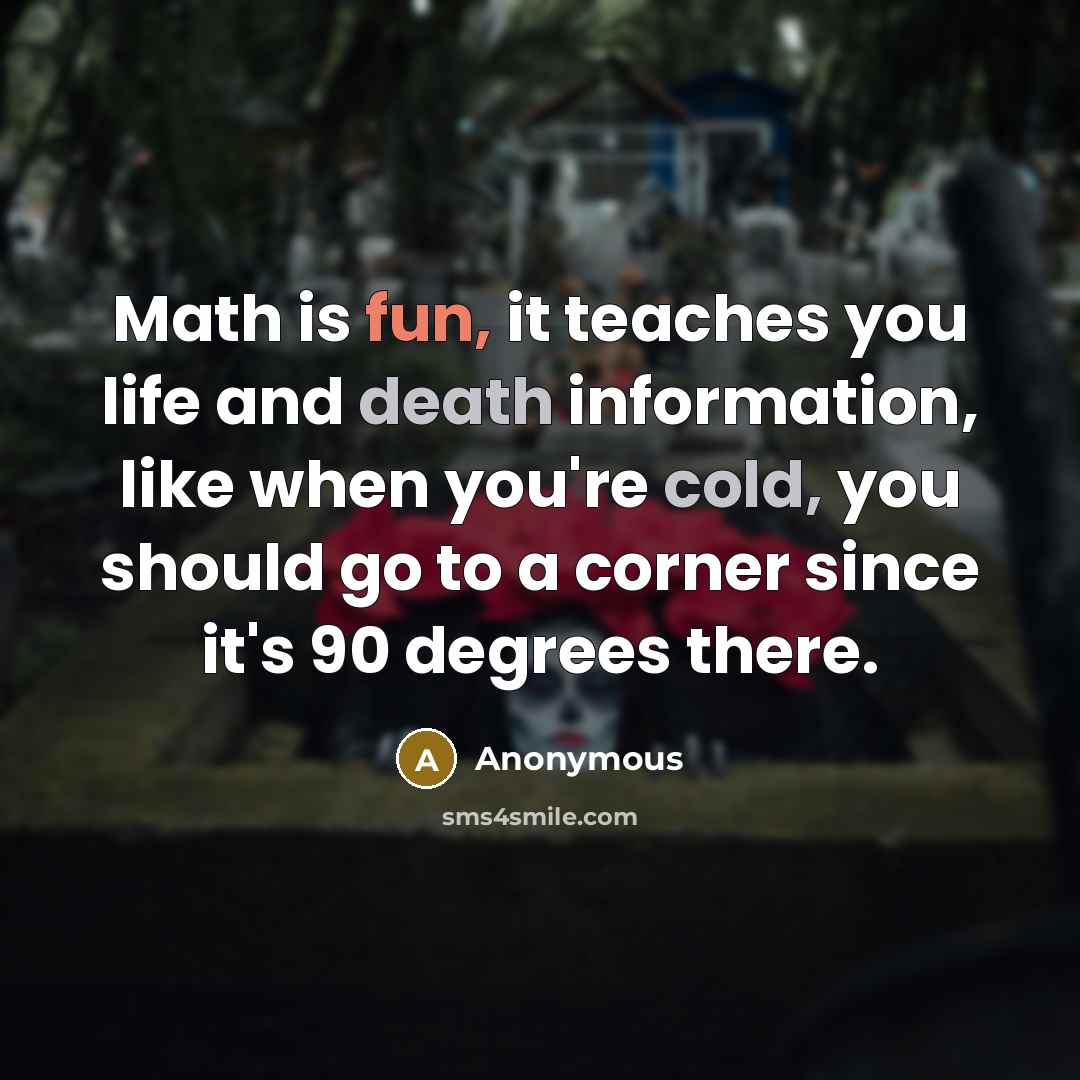 “Math is fun, it teaches you life and death information, like when you're cold, you should go to a corner since it's 90 degrees there.” quote by Anonymous