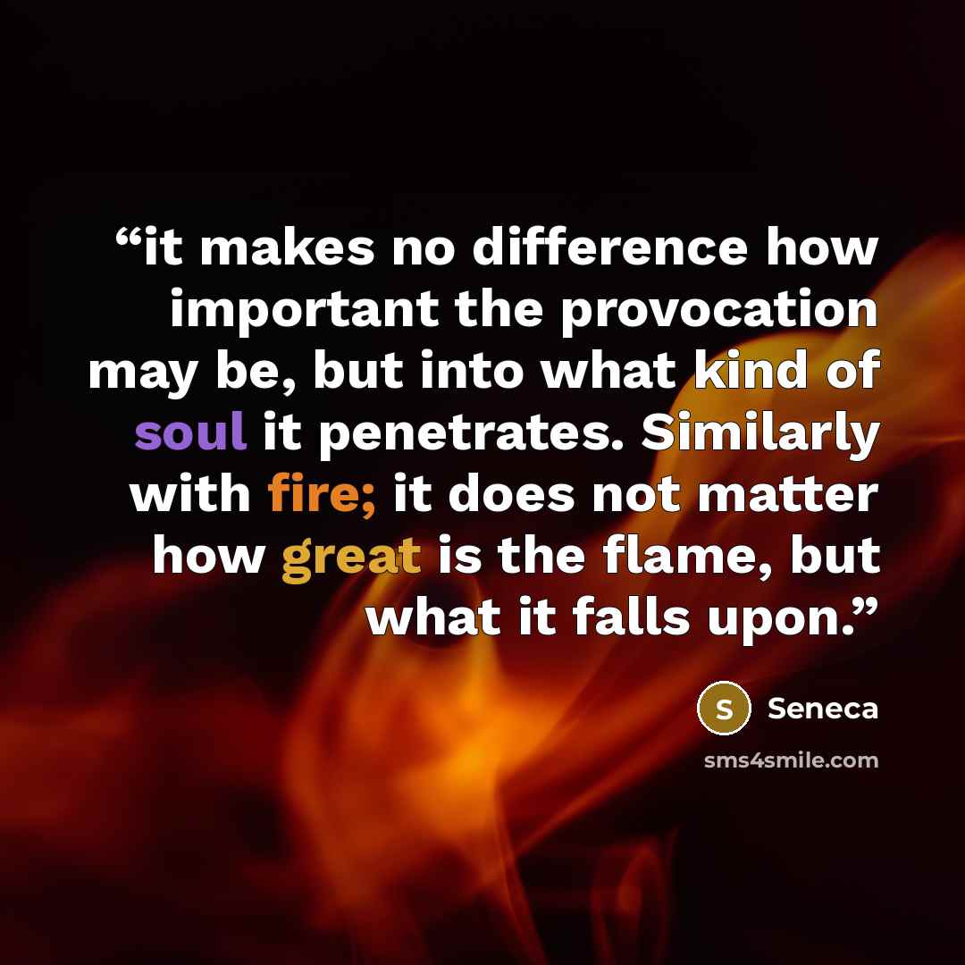 “it makes no difference how important the provocation may be, but into what kind of soul it penetrates. Similarly with fire; it does not matter how great is the flame, but what it falls upon.” quote by Seneca