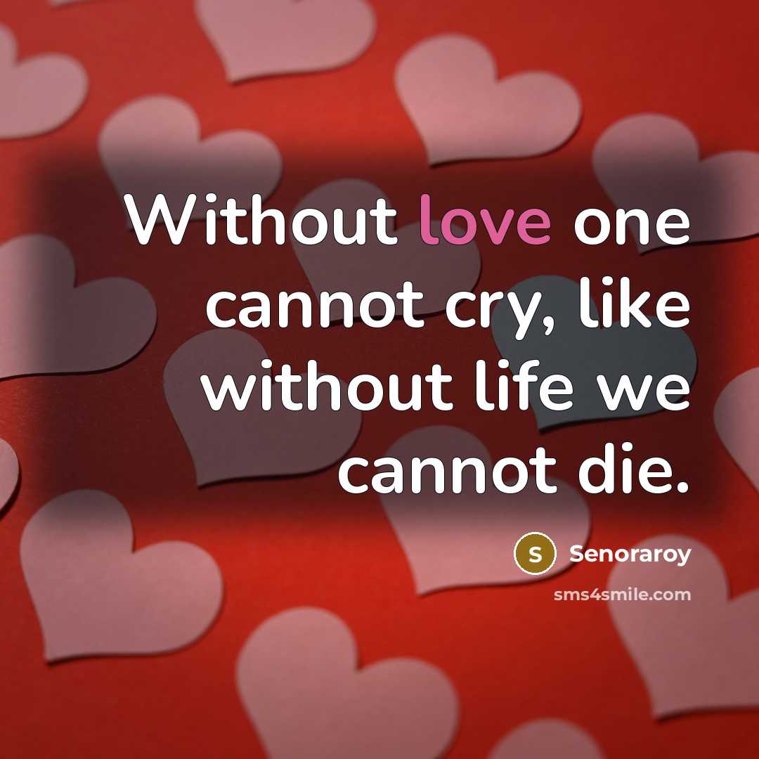 “Without love one cannot cry, like without life we cannot die.” quote by Senoraroy