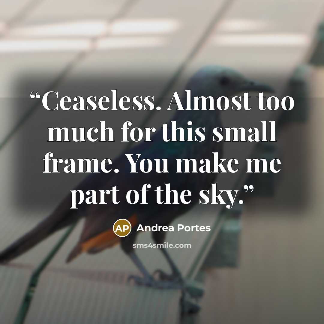 “Ceaseless. Almost too much for this small frame. You make me part of the sky.” quote by Andrea Portes