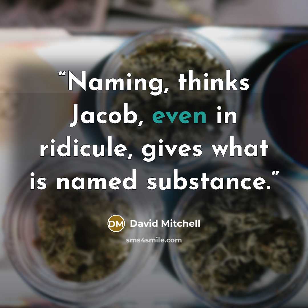 “Naming, thinks Jacob, even in ridicule, gives what is named substance.” quote by David Mitchell